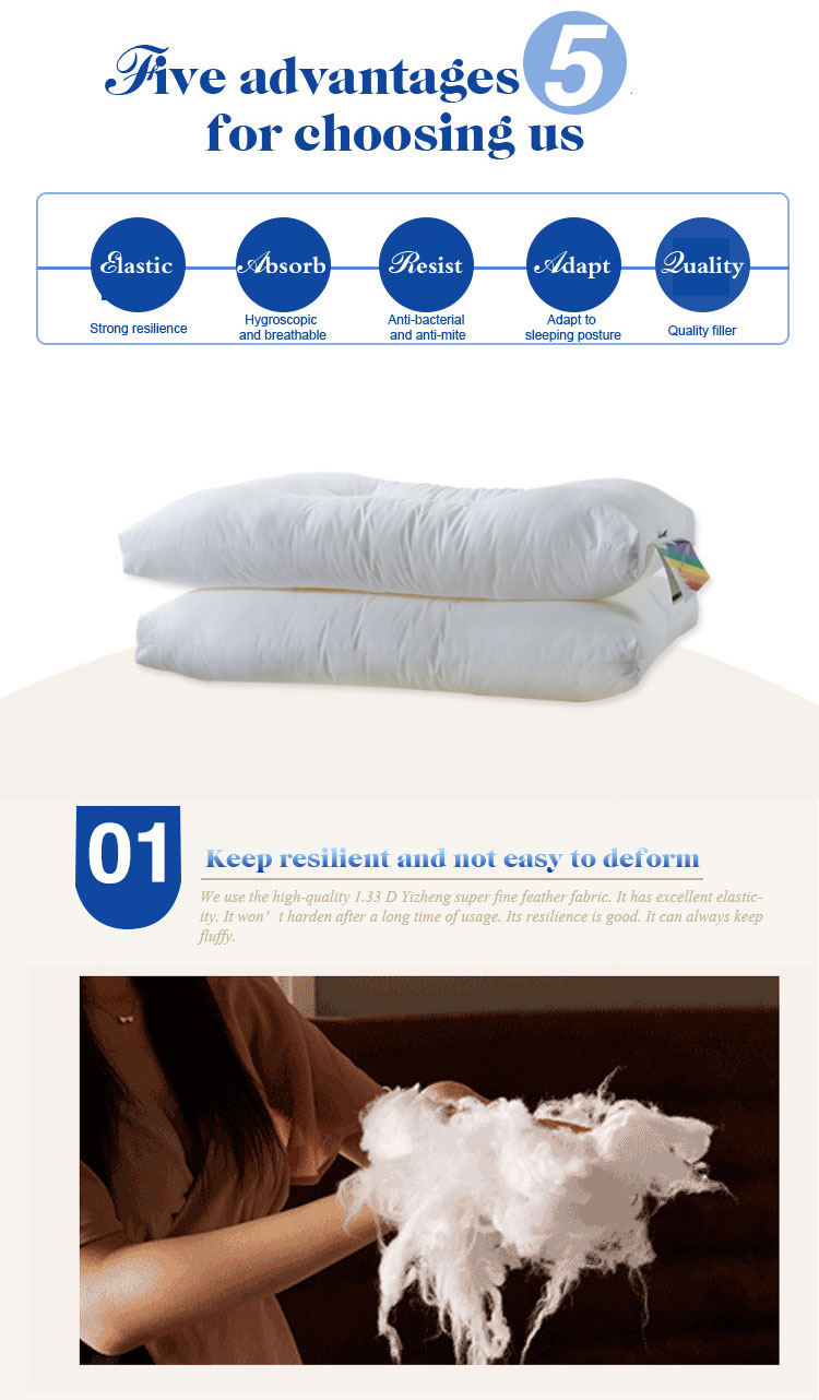 Polyester Deluxe Square Bed Pillows