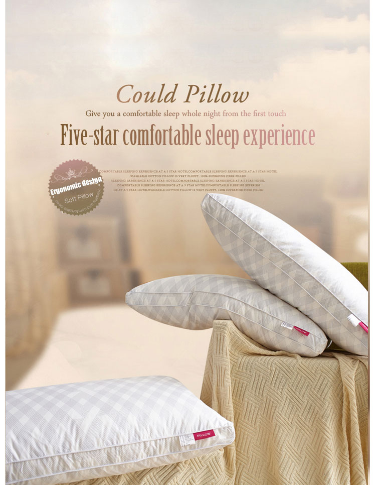 Luxury Pure Cotton Standard Pillow