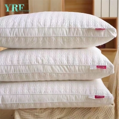 université professionnelle petits oreillers