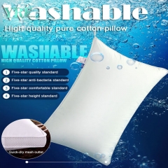 appartement luxe oreillers uniques doux