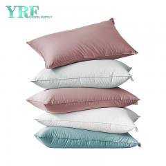 Fournisseur chinois personnalisé 95% oreillers en duvet
