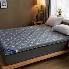 Chambre Lit Matelas University Dortoir Doux