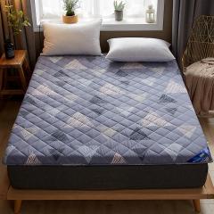Matelas pour lit d'invité Home Léger