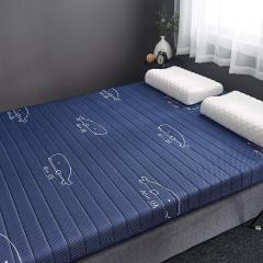 Matelas de sol portable pour dortoir