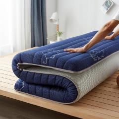 Coussin matelassé épais de 10 cm d'appartement