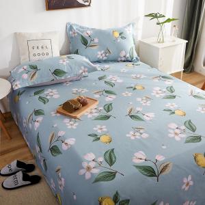 Hypoallergenic Printing Bedsheet